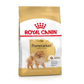 Royal Canin Adult Lulu da Pomerânia ração para cães